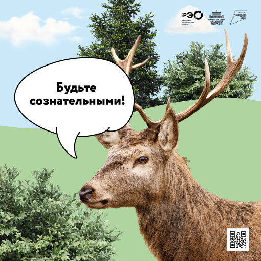 Зеленый курс Зеленый курс.